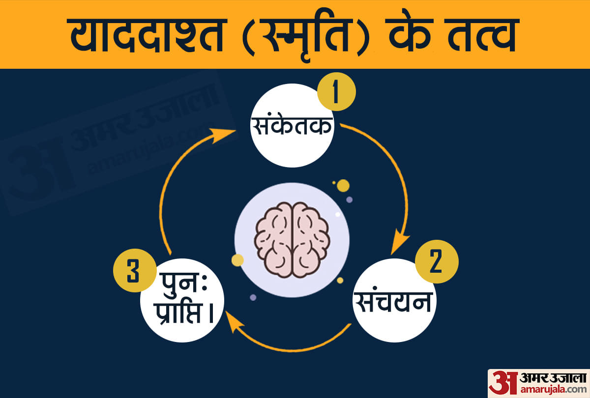 मानव स्मृति
