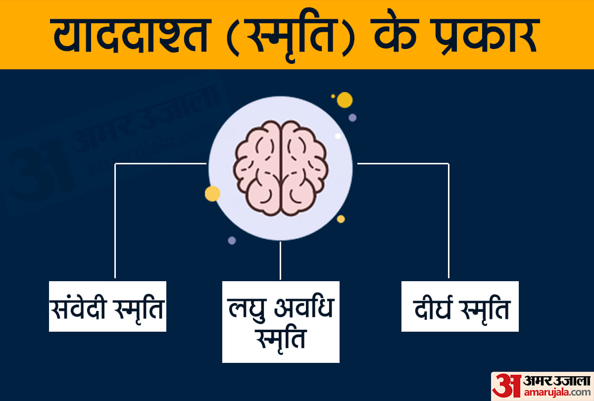 मानव स्मृति