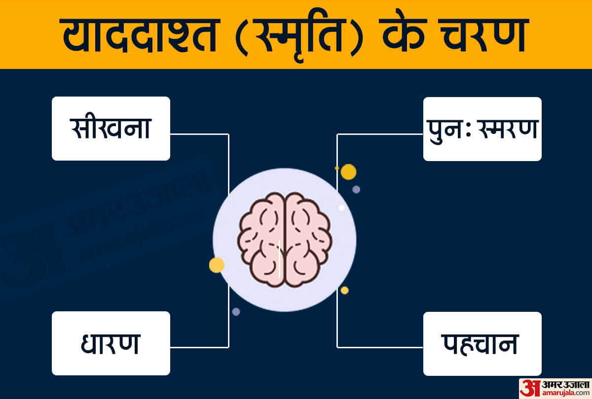 मानव स्मृति