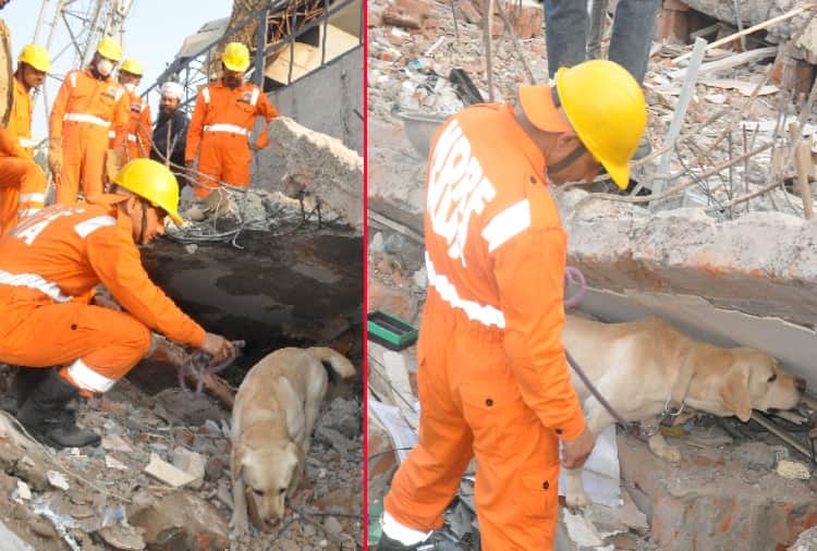 The building collapses on kharar-Landran road, rescue operation continues