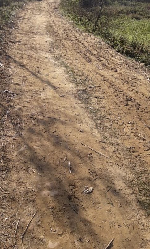 Demand to make bad road concrete