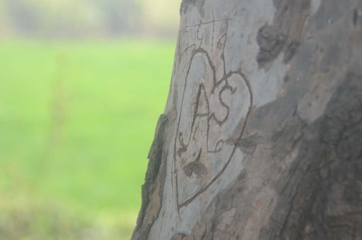 Names of lovers adopted on trees and stones