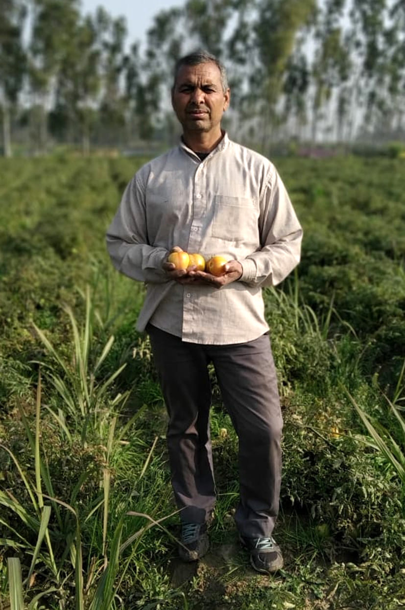Farmers feel comfortable with sugarcane