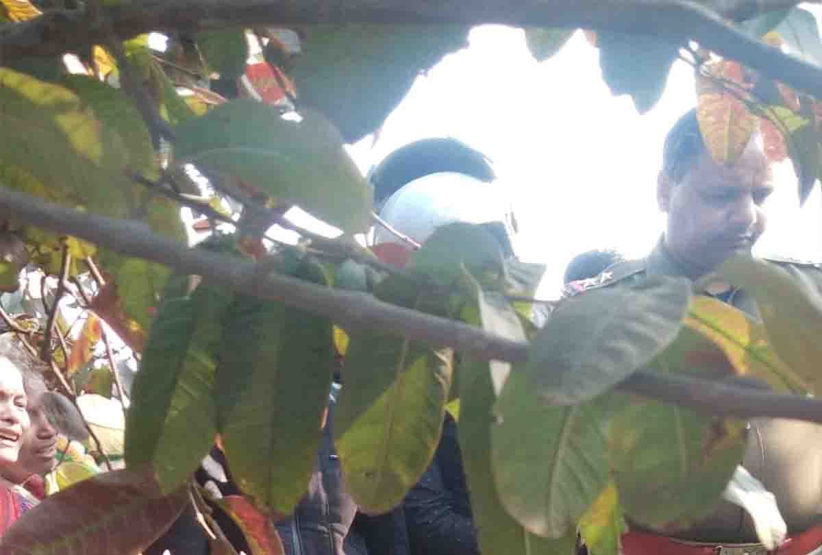 Friends murdered auto driver in a dispute over the sharing of stolen money
