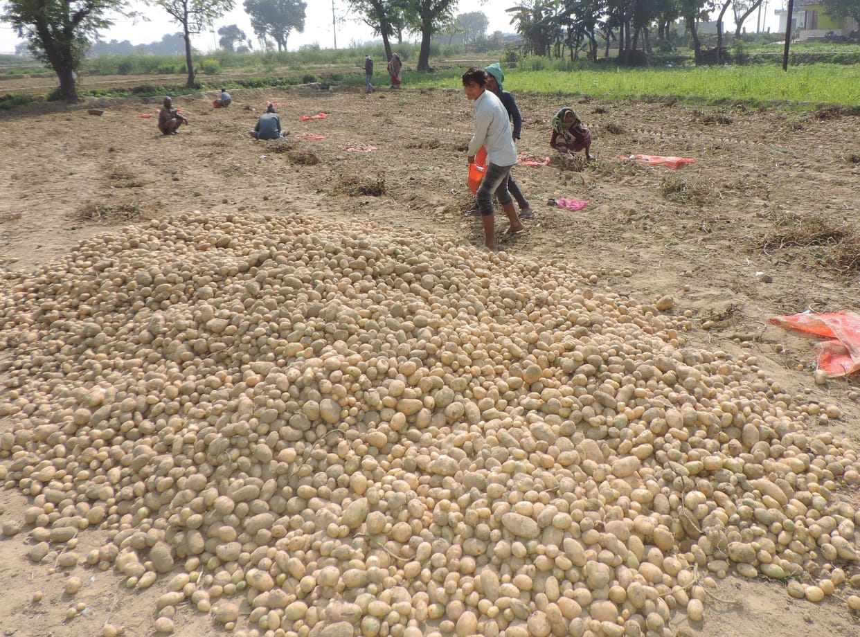 farmer, kannauj news