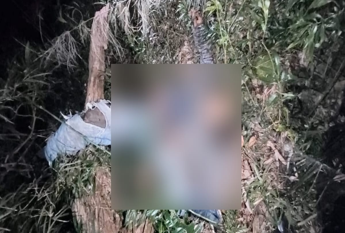 A young man died after falling down from paraglider in Billing, Pilot Case