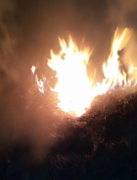 Shanty fire