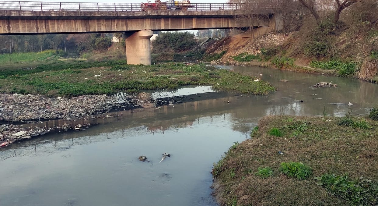 Krishna river will be clean and continuous again