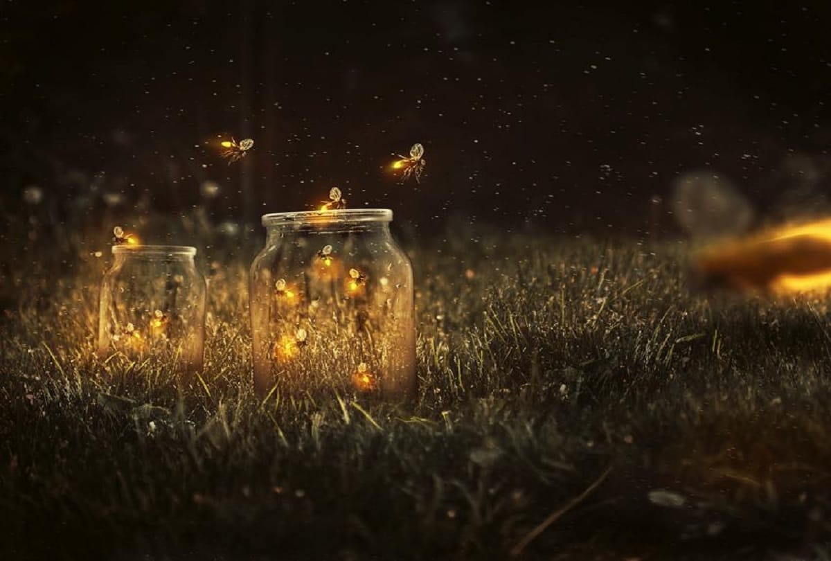 know the mystery behind firefly glow at night