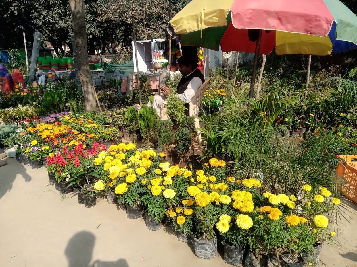 Private nurseries are feeding the flowers of the courtyard