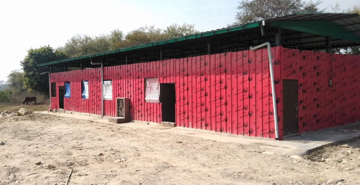 Even after being cowshed, unclaimed animals take to the streets