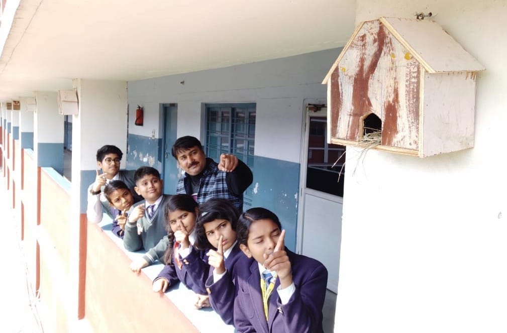 Sparrow installed in school for sparrow protection