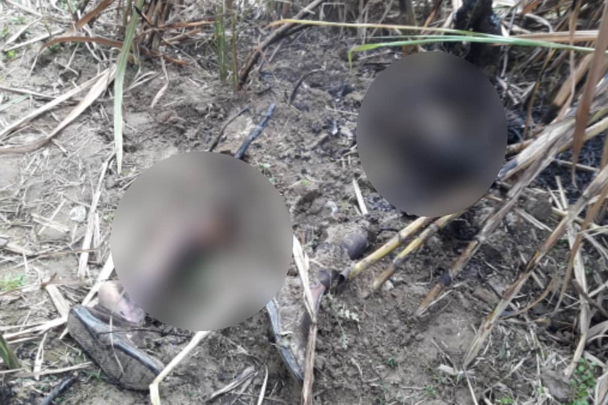 Milk vendor brutally murdered by his friend in Baghpat, police tell the truth