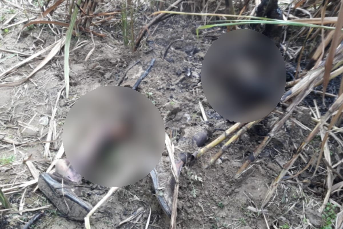 Milk vendor brutally murdered by his friend in Baghpat, police tell the truth