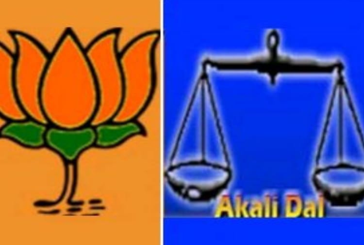 Mission 2024: Rumors on Alliance between BJP-Akali Dal in Punjab
