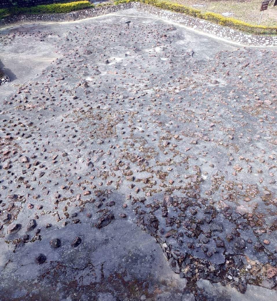Efforts to reach road to Ashwamedh Yagya site intensified