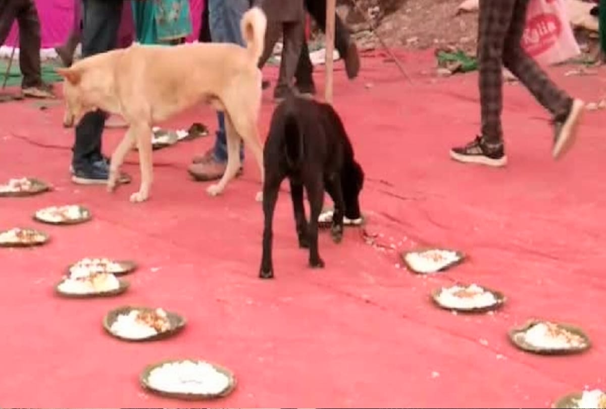 Stale food served in jan manch programme angry people returned after leaving food in Pattal