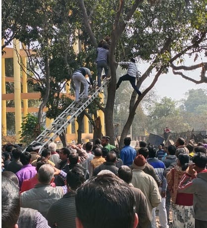 Man clim a tree to get his wife admitted to a government hospital