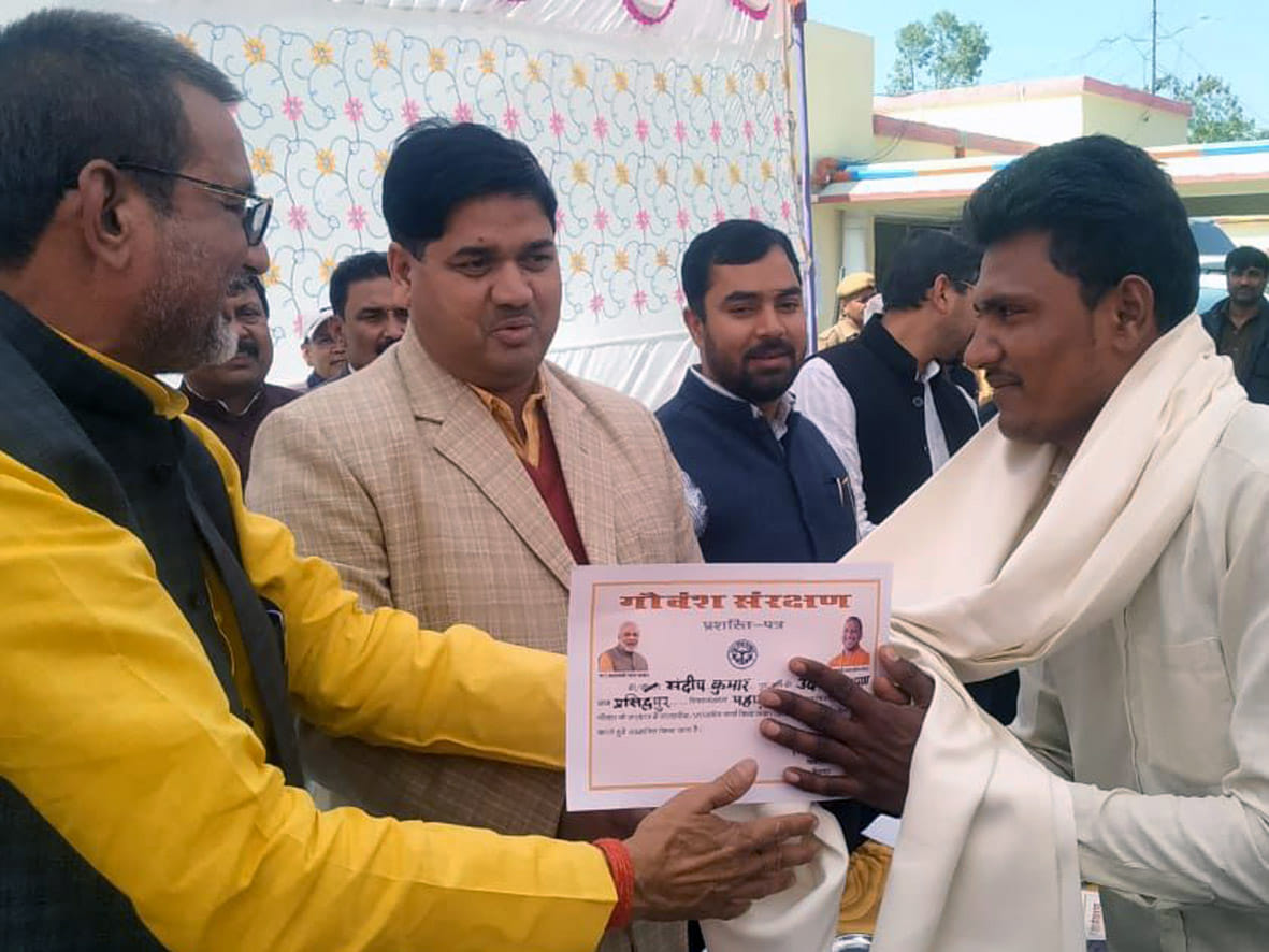 90 percent Anna cattle problem in Chitrakoot claimed