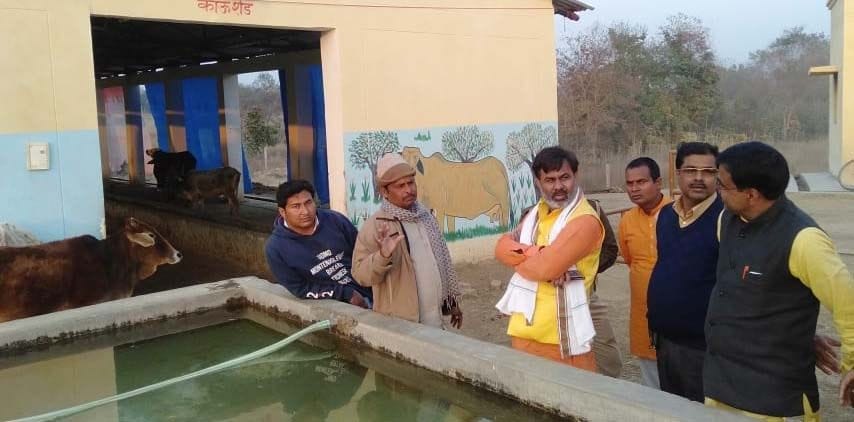Legislators get angry after seeing sick cows at Goashray Center, reprimand doctors