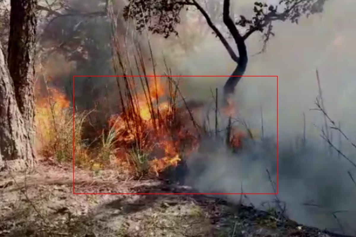 Fierce fire in Hastinapur Century in Meerut