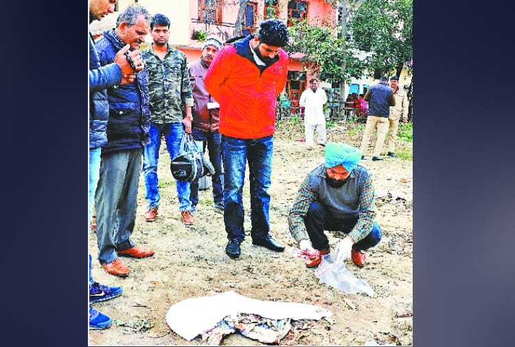 Five-month-old foetus found wrapped in newspaper in Sector-56 Chandigarh