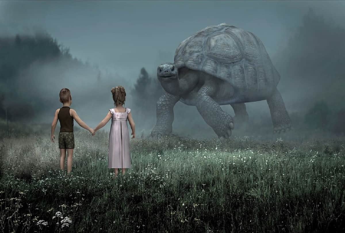 Car sized turtle fossils unearthed in Colombia Tatacoa Desert