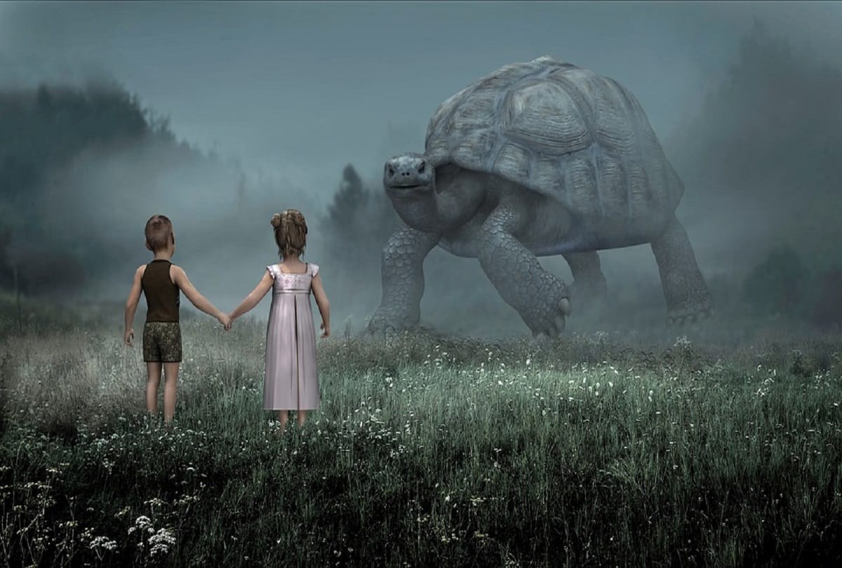 Car sized turtle fossils unearthed in Colombia Tatacoa Desert