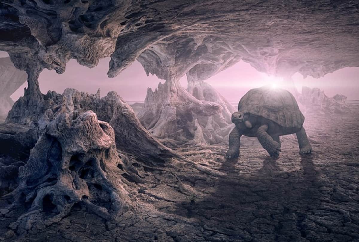 Car sized turtle fossils unearthed in Colombia Tatacoa Desert