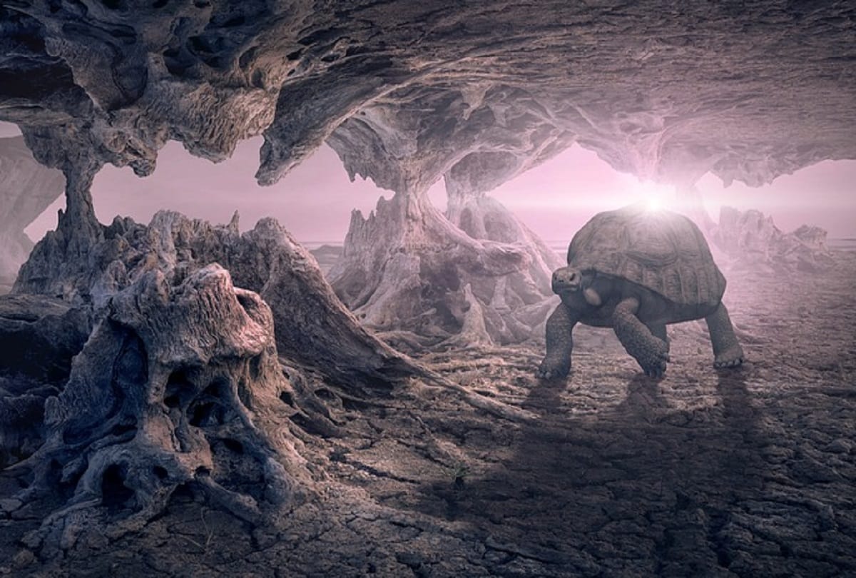 Car sized turtle fossils unearthed in Colombia Tatacoa Desert