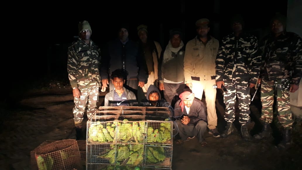 two arrested with 120 parrots in border village of Bargadwa