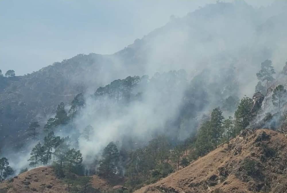 Uttarakhand News: Wildfire increased due to Hot Weather in Garhwal And Kumon Photos