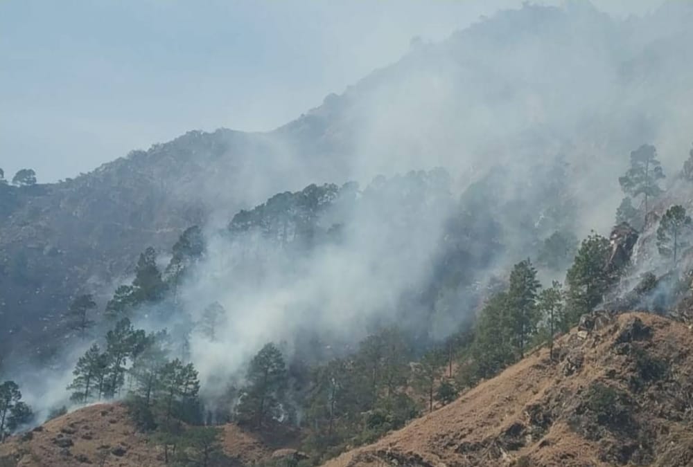 Uttarakhand News: Wildfire increased due to Hot Weather in Garhwal And Kumon Photos