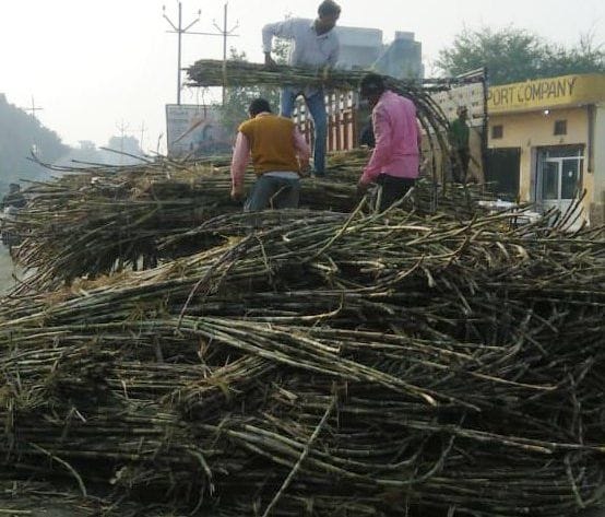 Sugarcane-laden trolley overturned by bus