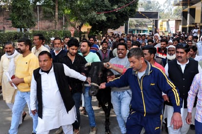 Dairy directors with cow has ruckus in nagar nigam office at Saharanpur and warnned to police