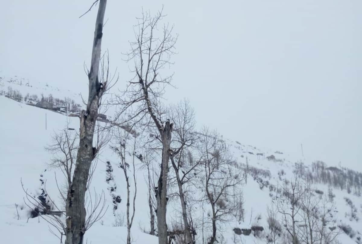 himachal weather report: fresh snowfall lahul, minimum temperature in Shimla higher than Una