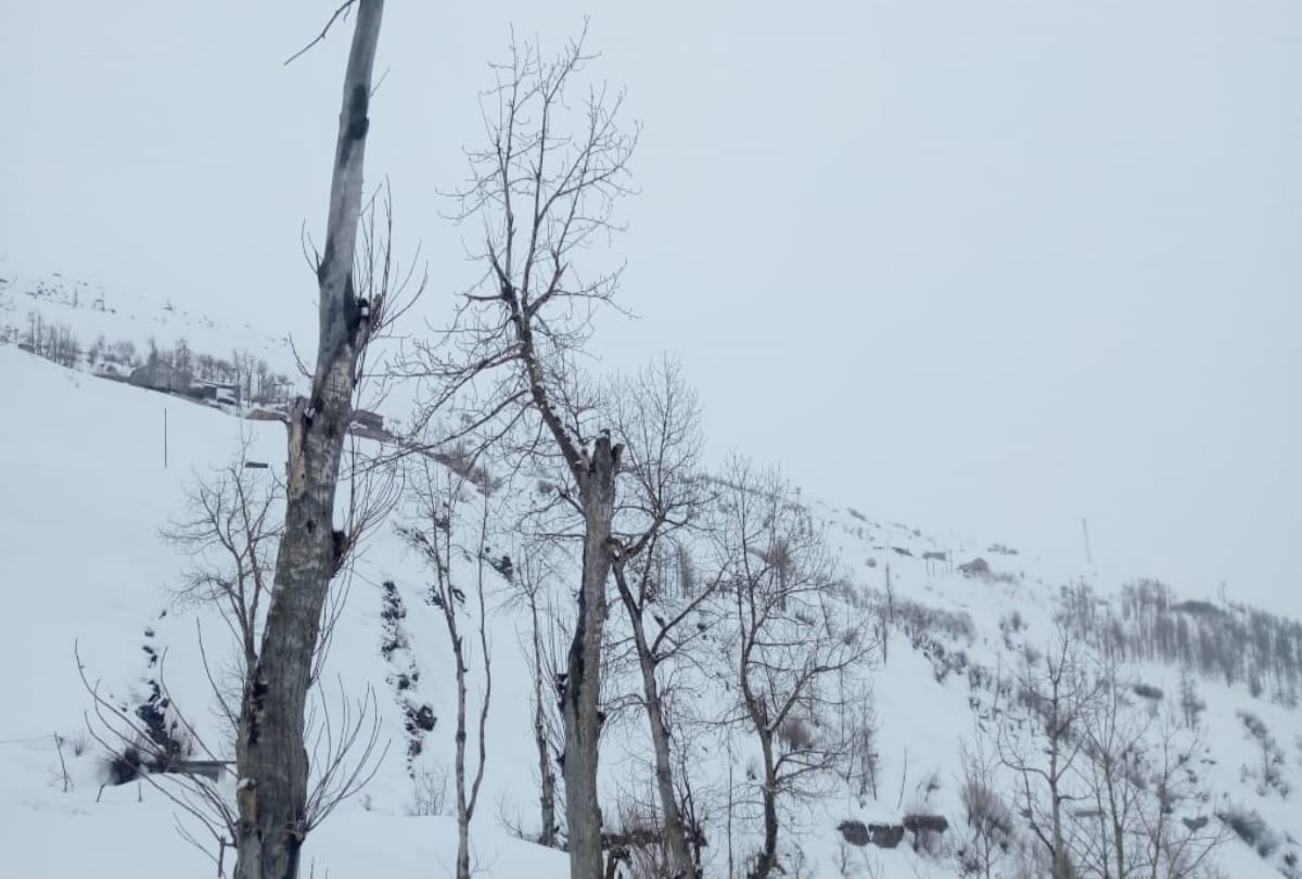 himachal weather report: fresh snowfall lahul, minimum temperature in Shimla higher than Una