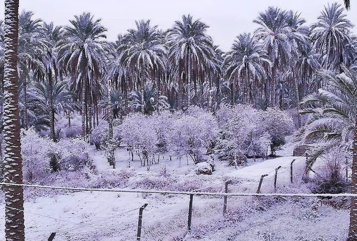 Extreme Weather in Iraq Rare snowfall blankets Baghdad second time in 100 years