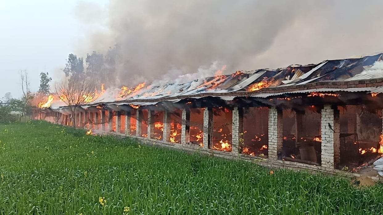 Fire in poltry Farm