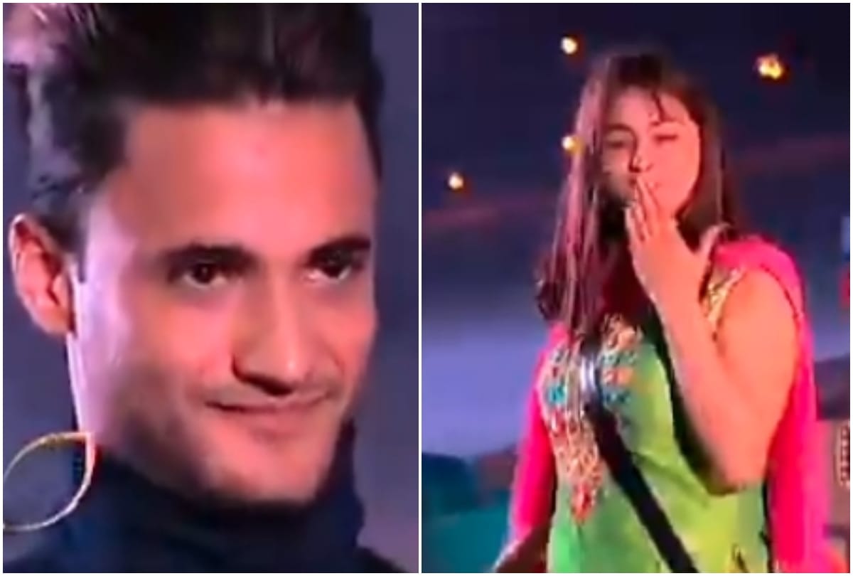 Google showing Paras Chhabra is the winner of Bigg Boss 13 know the truth