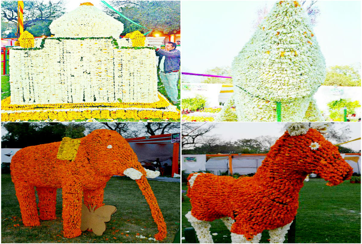 Two Day Herbal Exhibition in agra