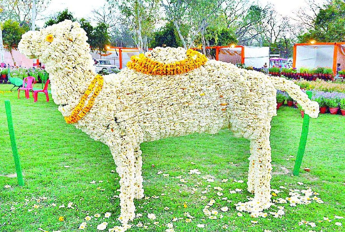 Two Day Herbal Exhibition in agra