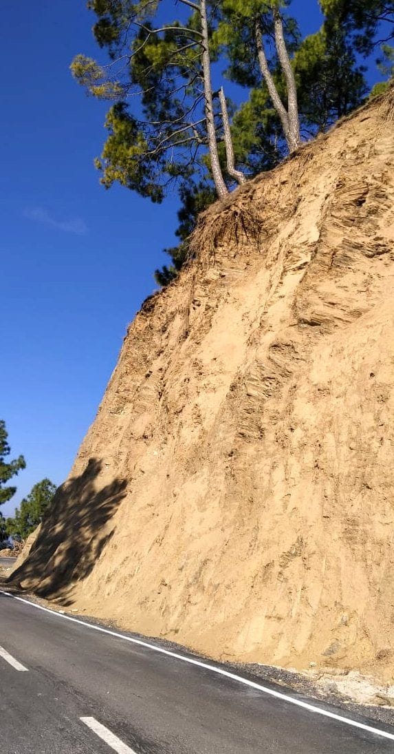trees can fall anytime on the road