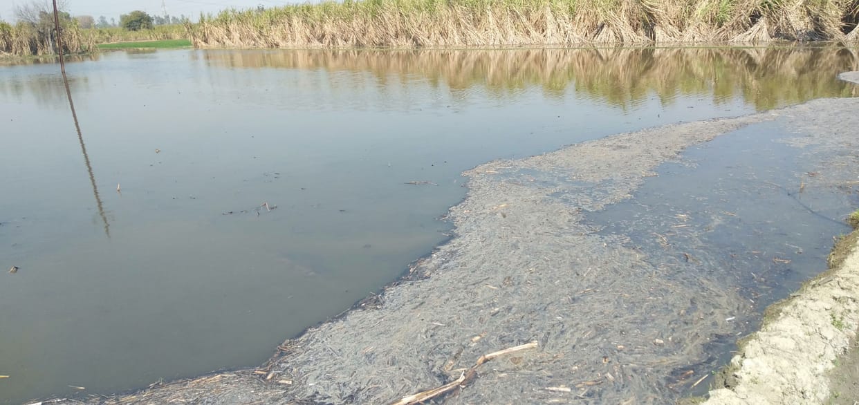 Farmers' crops submerged