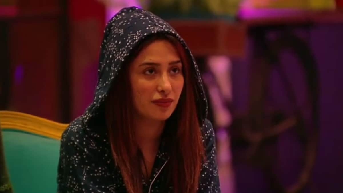 Bigg Boss 13 Contestant Mahira Sharma is now on Twitter Says Older Accounts are Fake