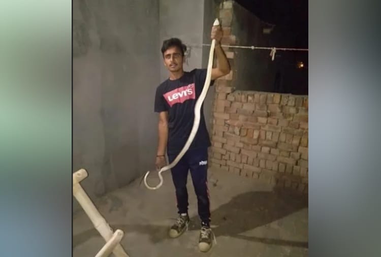 Unique Love, A Man Named Ishwar Saved Life of 100 Snakes