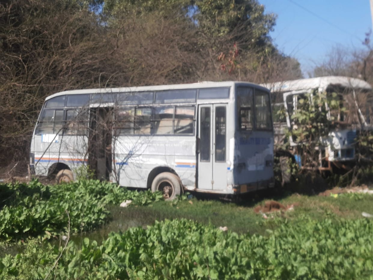 The roadways fleet will comprise 4 pink busses will run on the local routes of the city