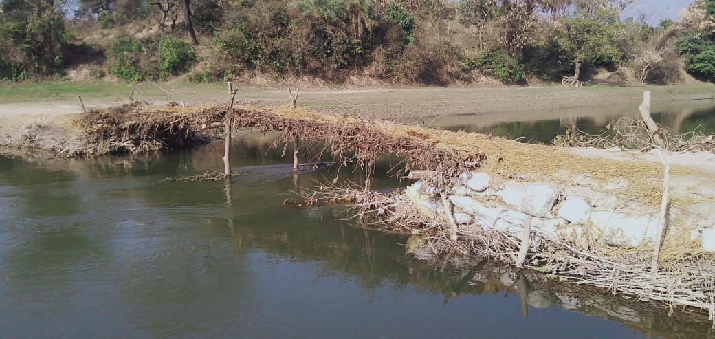Shiva devotees pass through a bridge made of grass thatch
