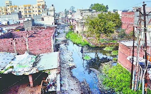 canal land scam in bareilly