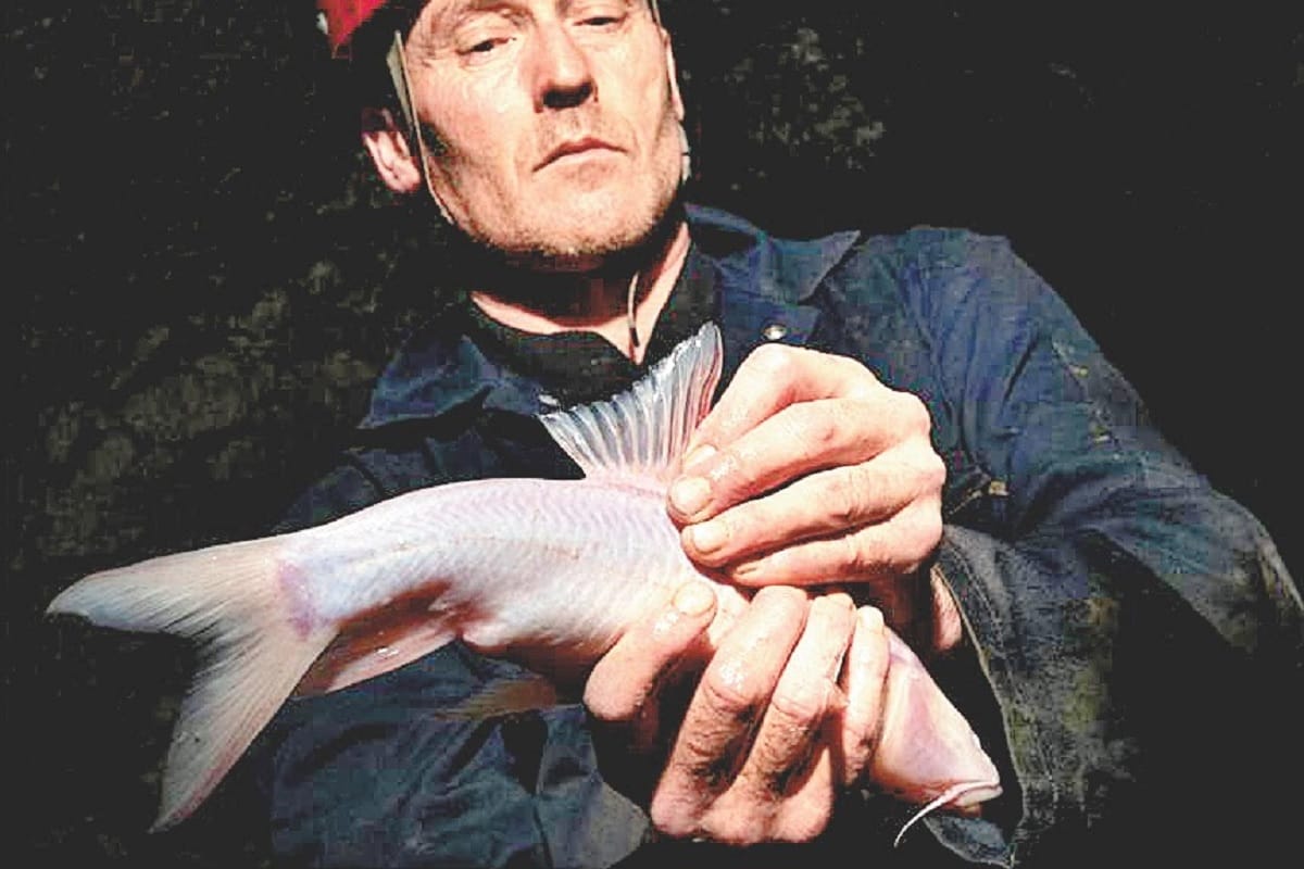 Meghalaya has the largest fish living below ground